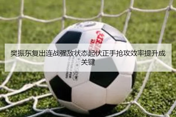 樊振东复出连战强敌状态起伏正手抢攻效率提升成关键